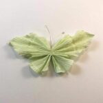 Crepe papir 180g – Lys Grøn