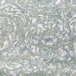 Bachelors Button  Aqua Morris & Co