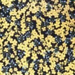 Liberty stof Star Anise Gul