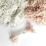 Støvdragere Fersken