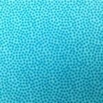 Prikket bomuld Petrol/turkis