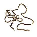 Pailletsnor Guld 1 meter