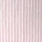 --Poplin Stripe Rosa
