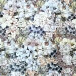 --Liberty stof - Painted travel